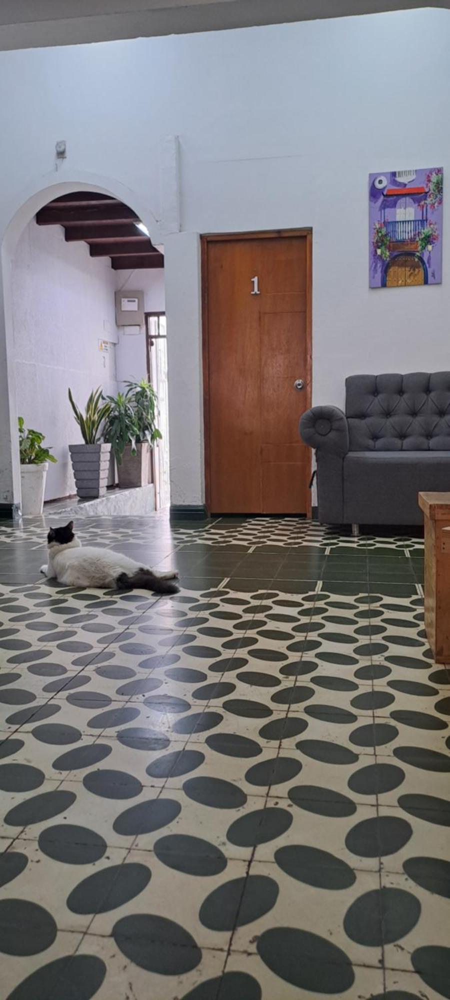 Hostal Casa Lara Картахена Экстерьер фото